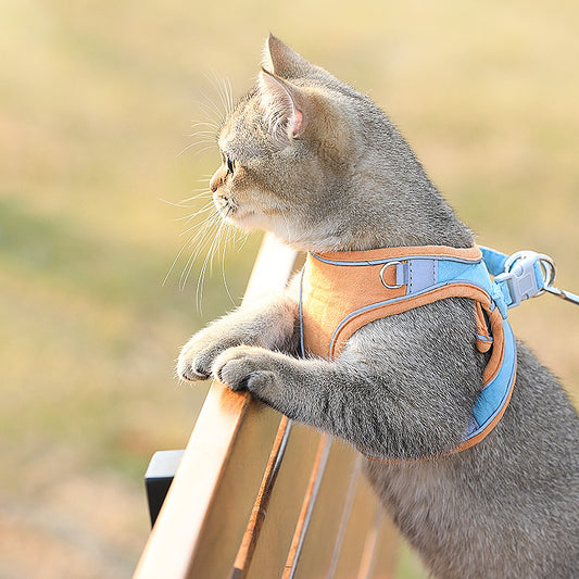 Cat Vest-Style Chest Harness with Leash