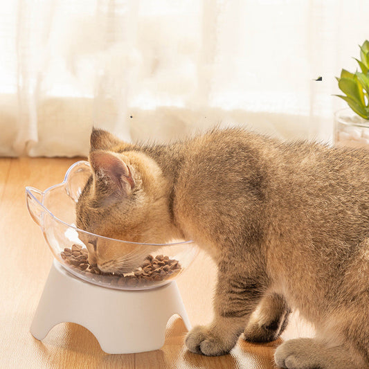 Elevated Clear Non-Slip Plastic Bowl Cat