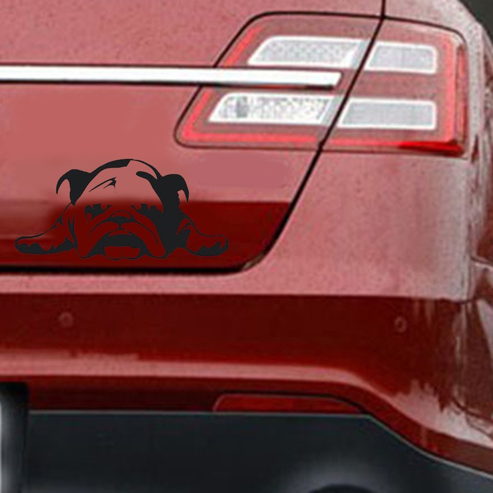 Bulldog scratch-resistant car stickers