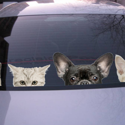 Funny 3D Cat Dog Half Face Peeking Car Stickers - 5 Stickers