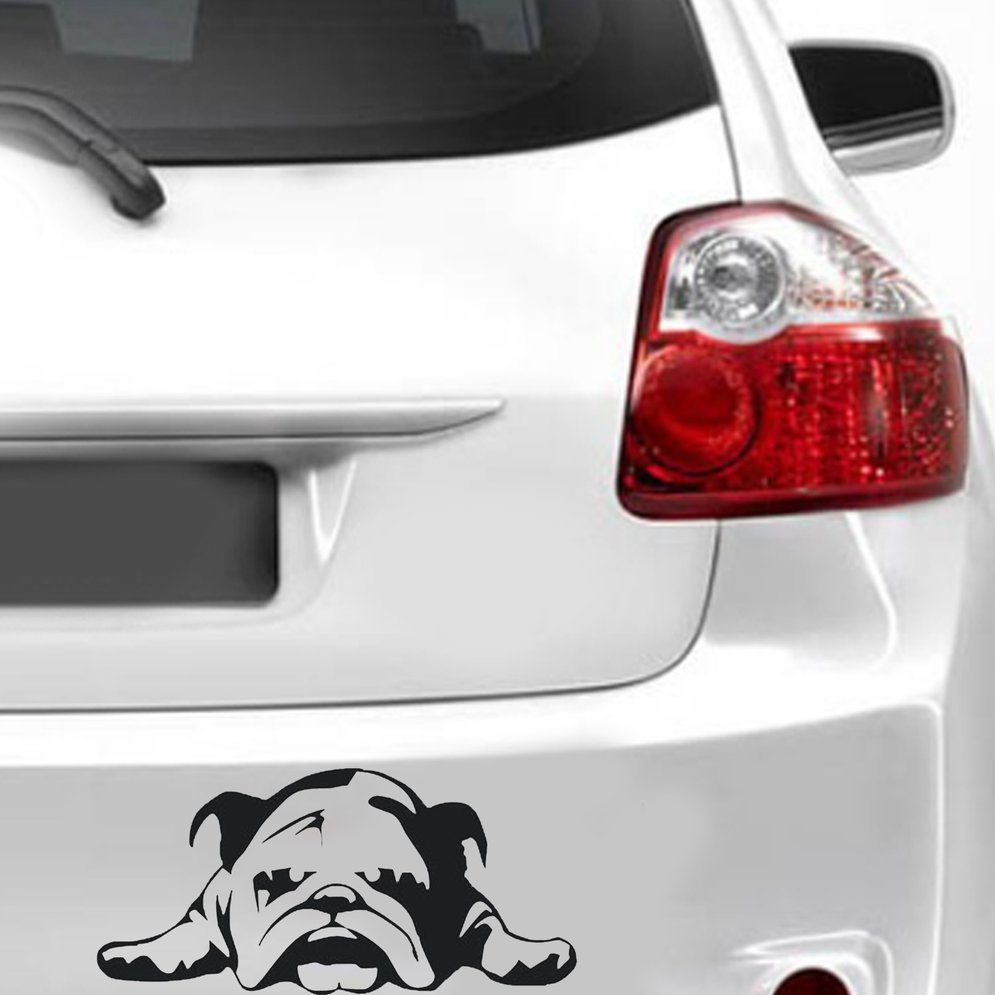 Bulldog scratch-resistant car stickers