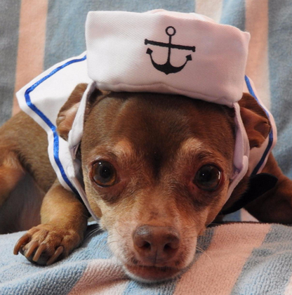 Halloween Navy Sailor Costume